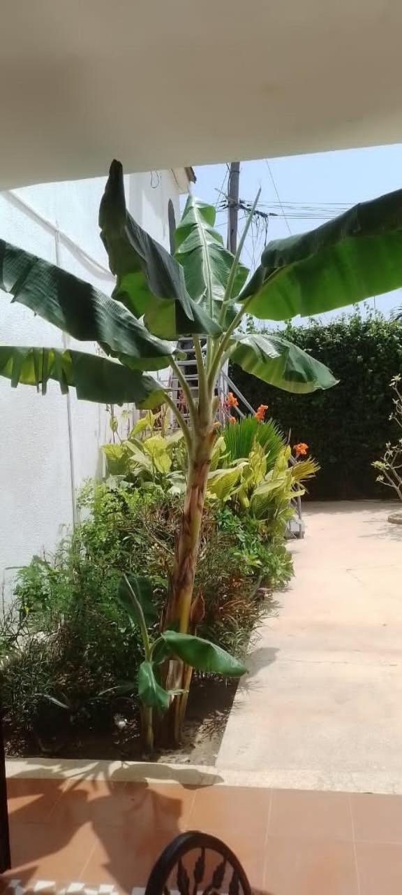Riad Cote Jardin Saly Portudal Exterior photo